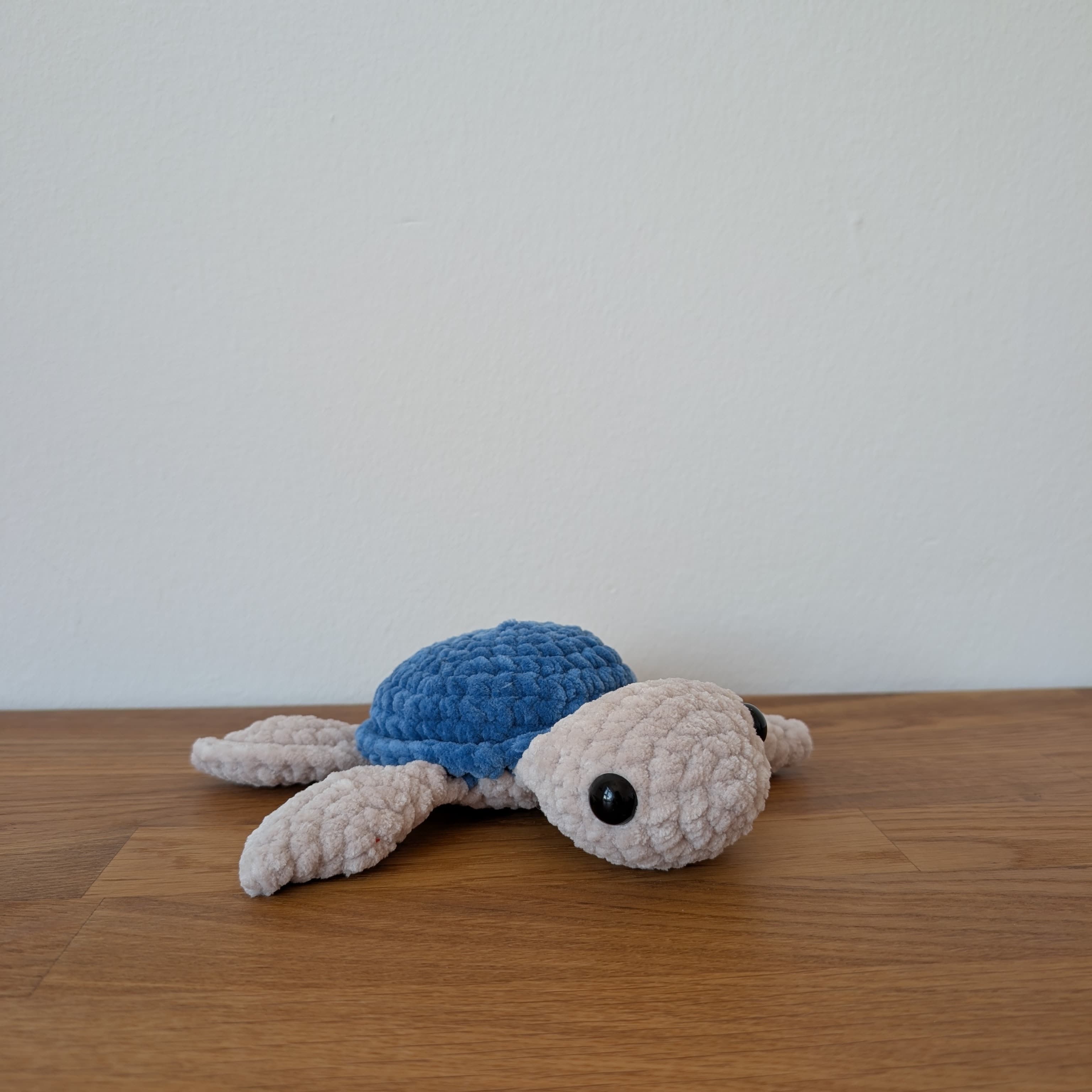 Schildkröte Whitsundays